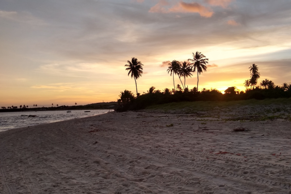 Sunset at Coqueirinho do Norte Beach, Paraíba