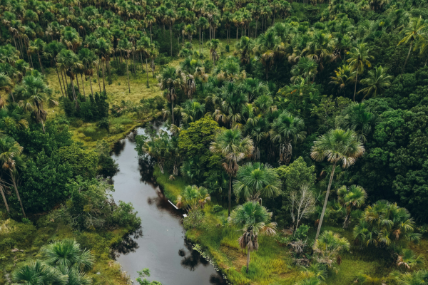 River in Barreirinhas, Maranhão, Brazil