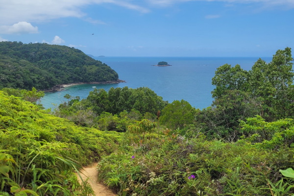 Read more about the article Ubatuba: How to get there, where to stay, and what to do!