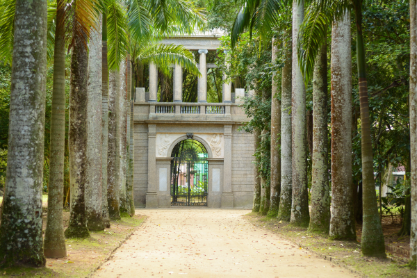 Botanical Garden in Rio de Janeiro