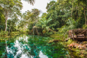 Read more about the article Discover Bonito, Mato Grosso do Sul, Brazil: Tips and Travel Guide!