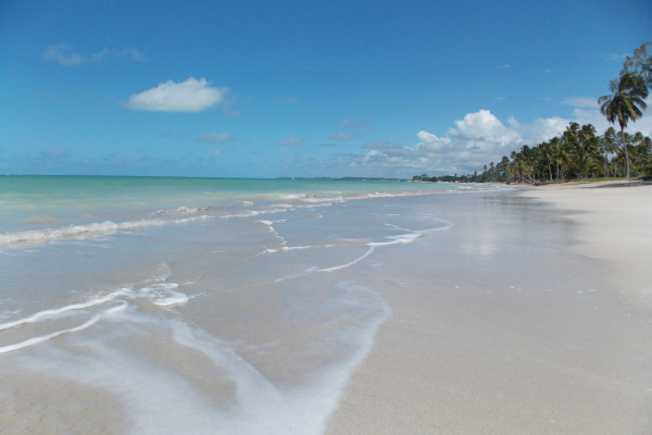Antunes Beach in Maragogi,Alagoas,Brazil