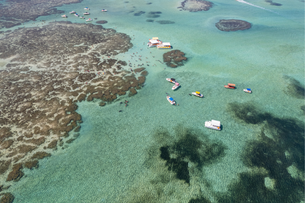 You are currently viewing Maragogi, Brazil: best beaches, how to get there, tour tips and when to go!