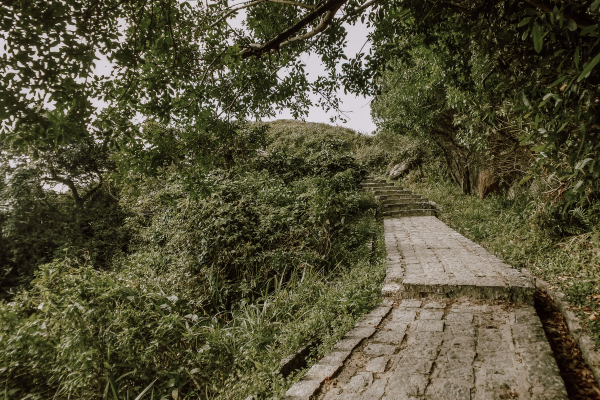 Stone trail in the forest ilha do mel brazil