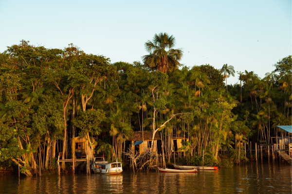 Amazon River and Rainforest, Pará State, Brazil