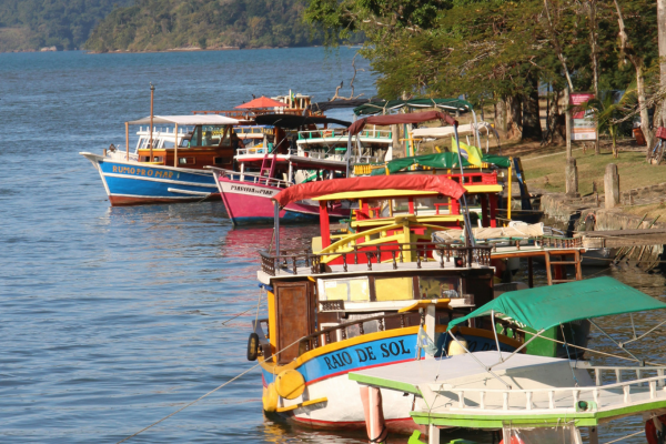 Colorful fishing boats anchored in Paraty Bay surrounded by tropical forest, Brazil
