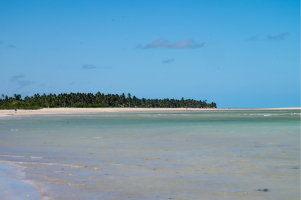 Wide beach view of São Miguel dos Milagres in Alagoas, Brazil, featuring clear shallow waters and coral reef formations.