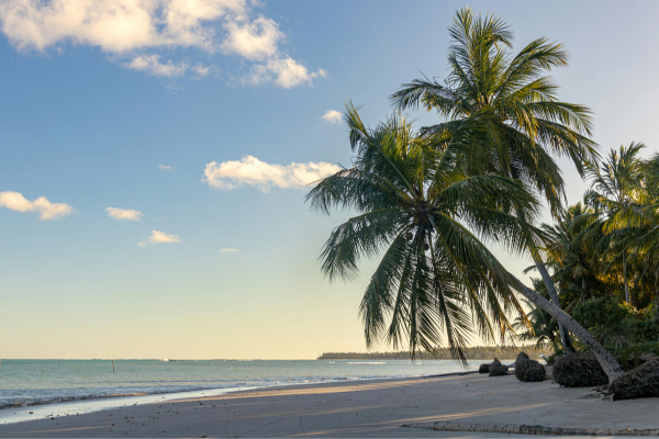 Read more about the article São Miguel dos Milagres, Brazil: Complete Guide for International Travelers